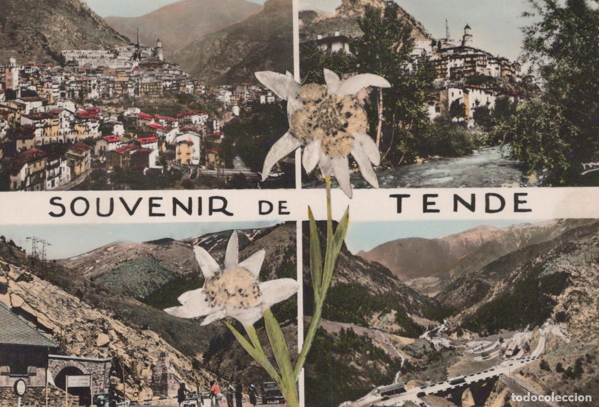 Postkarten: France Nice Tende Vues Village Montagne Edelweiss Real Photo Unposted *YAH837