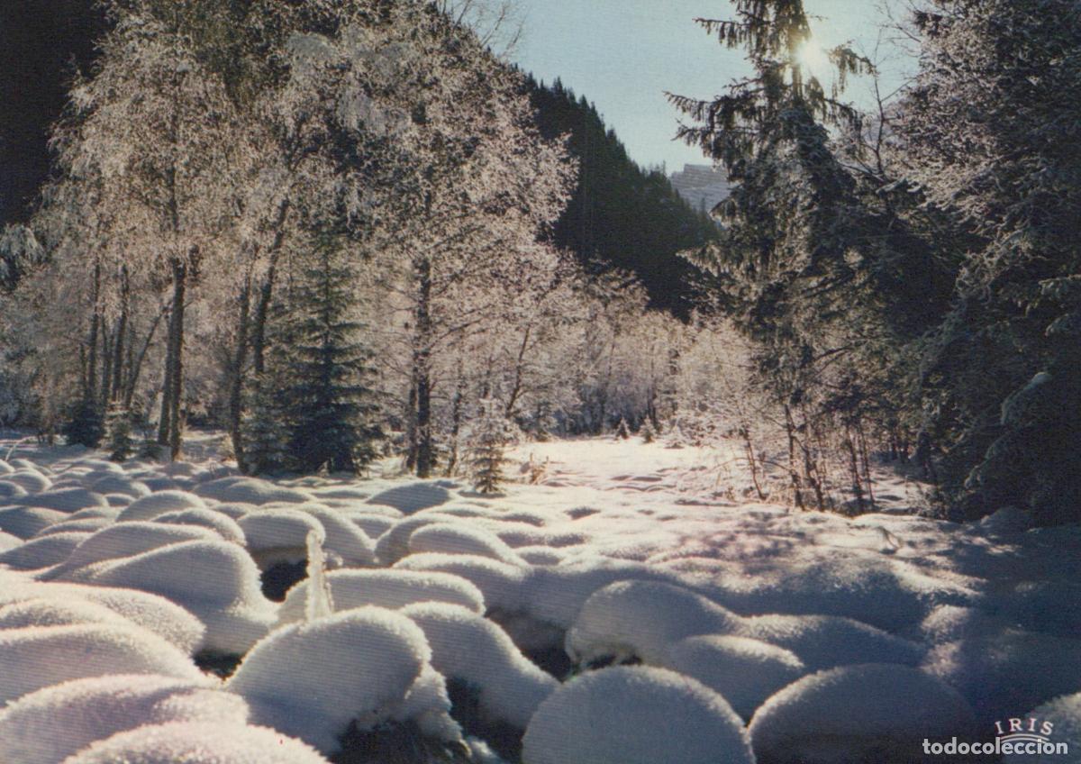 Postales: France Other Unclassified Notre Dame de Bellecombe Paysage Hivernal *YAH936