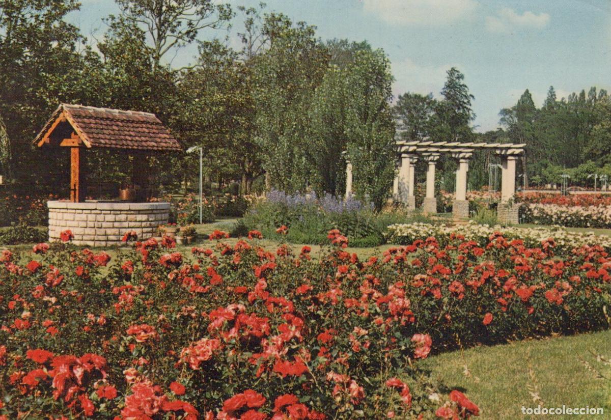 Postales: France Lyon Parc T&ecirc;te D or Roseraie Jardin *YAH946