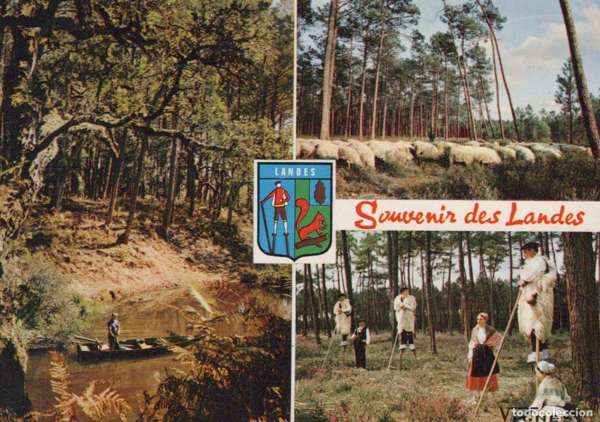 Postales: France Capbreton Landes Paysages Vari&eacute;s Bergers &Eacute;chassiers *YAH981
