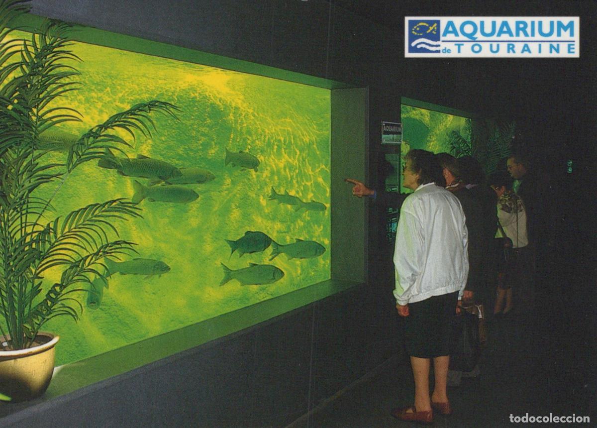 Cartoline: France Lussault sur Loire Aquarium de Touraine *YAK008