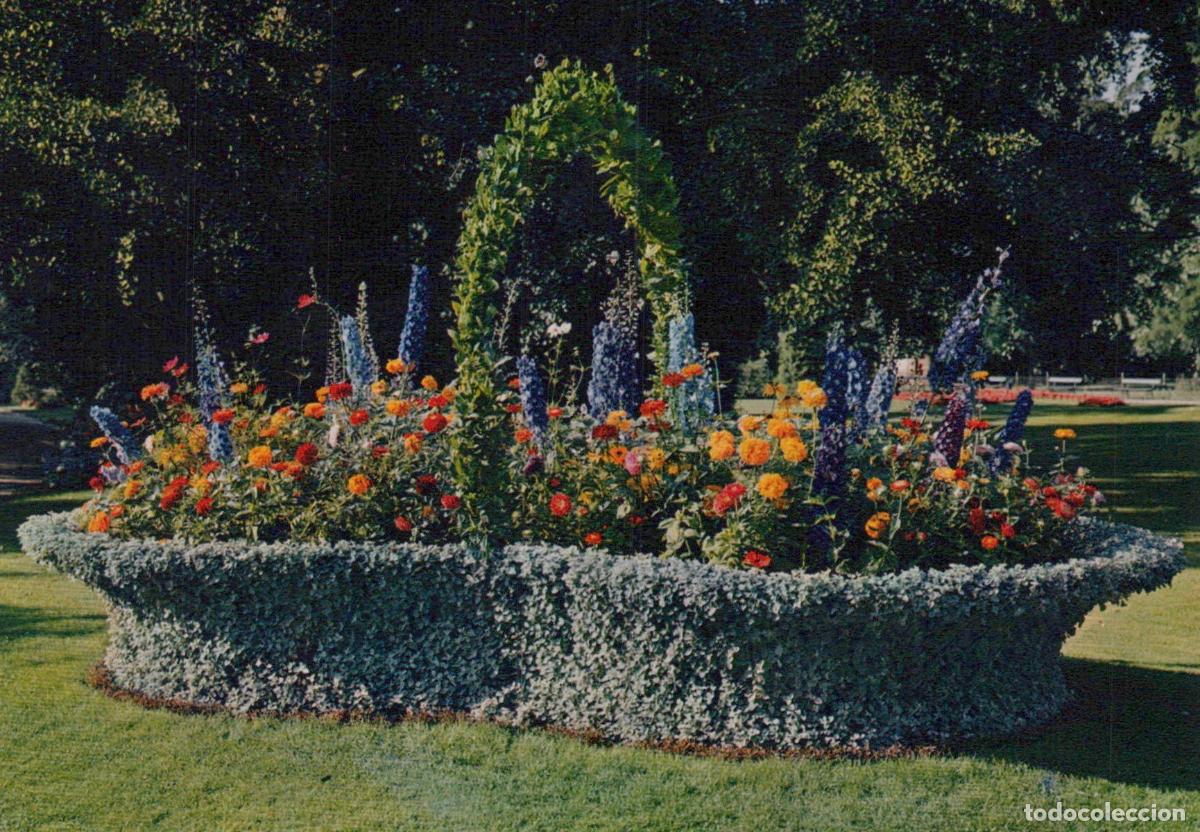 Cartoline: France Tours Jardin Botanique Panier Fleuri *YAK029