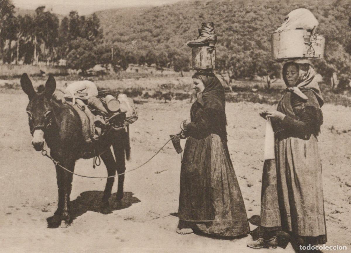 Postkarten: France Corsica Shepherdesses with Donkey and Goods *YAK150