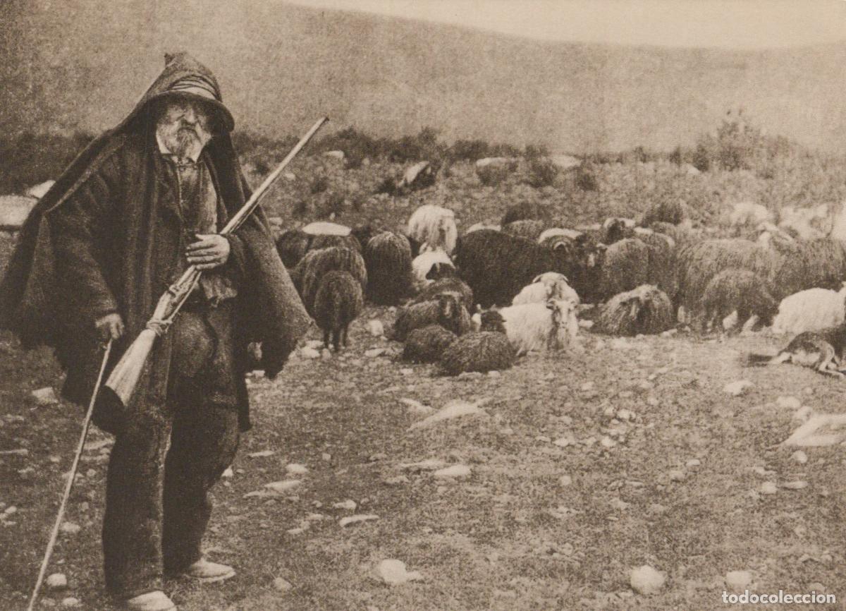 Cartoline: France Corse Berger Scenes Types Homme Avec Moutons Unposted *YAK142