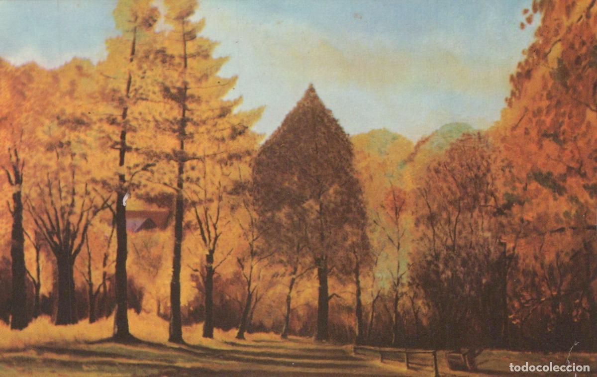 Postcards: United Kingdom Edwinstowe Sherwood Forest Autumn *YAK251