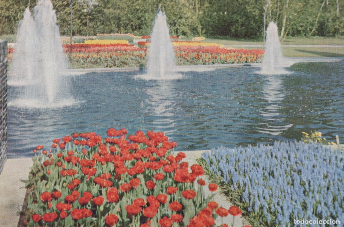 Cartoline: Nederland Lisse Keukenhof Tuinen Fonteinen Bloemen Posted *YAK252