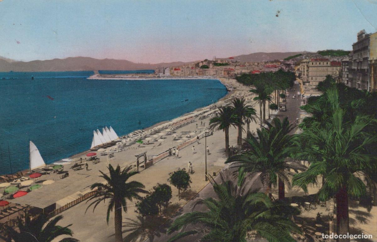Cartoline: France Cannes La Croisette Plage Palmiers Real Photo *YAK268