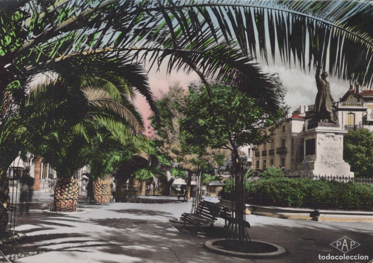 Cartes Postales: France Perpignan Place Arago Avec Statue Palmiers *YAK366