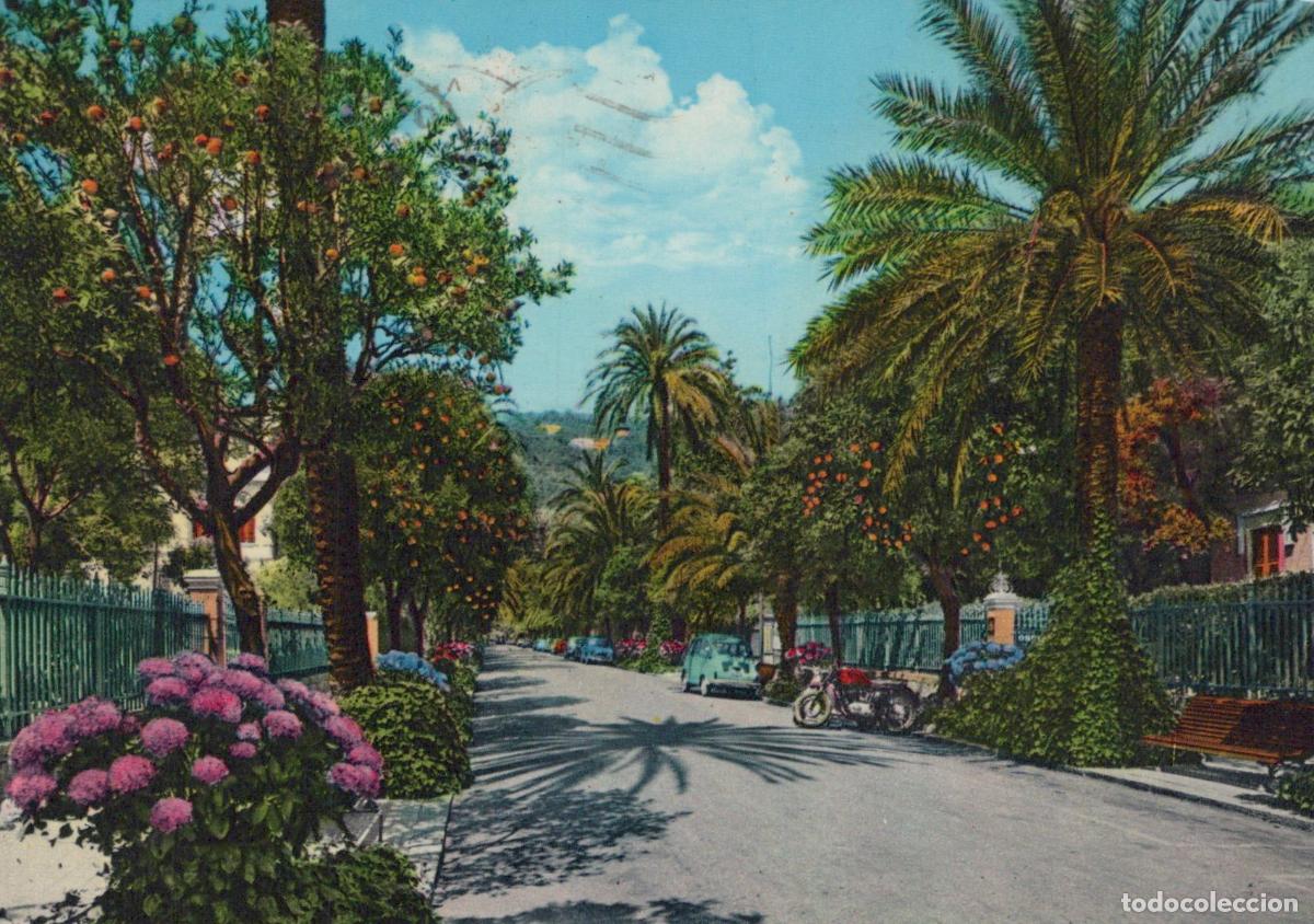 Cartes Postales: Italy Nervi Viale Delle Palme Landscape Posted *YAK348