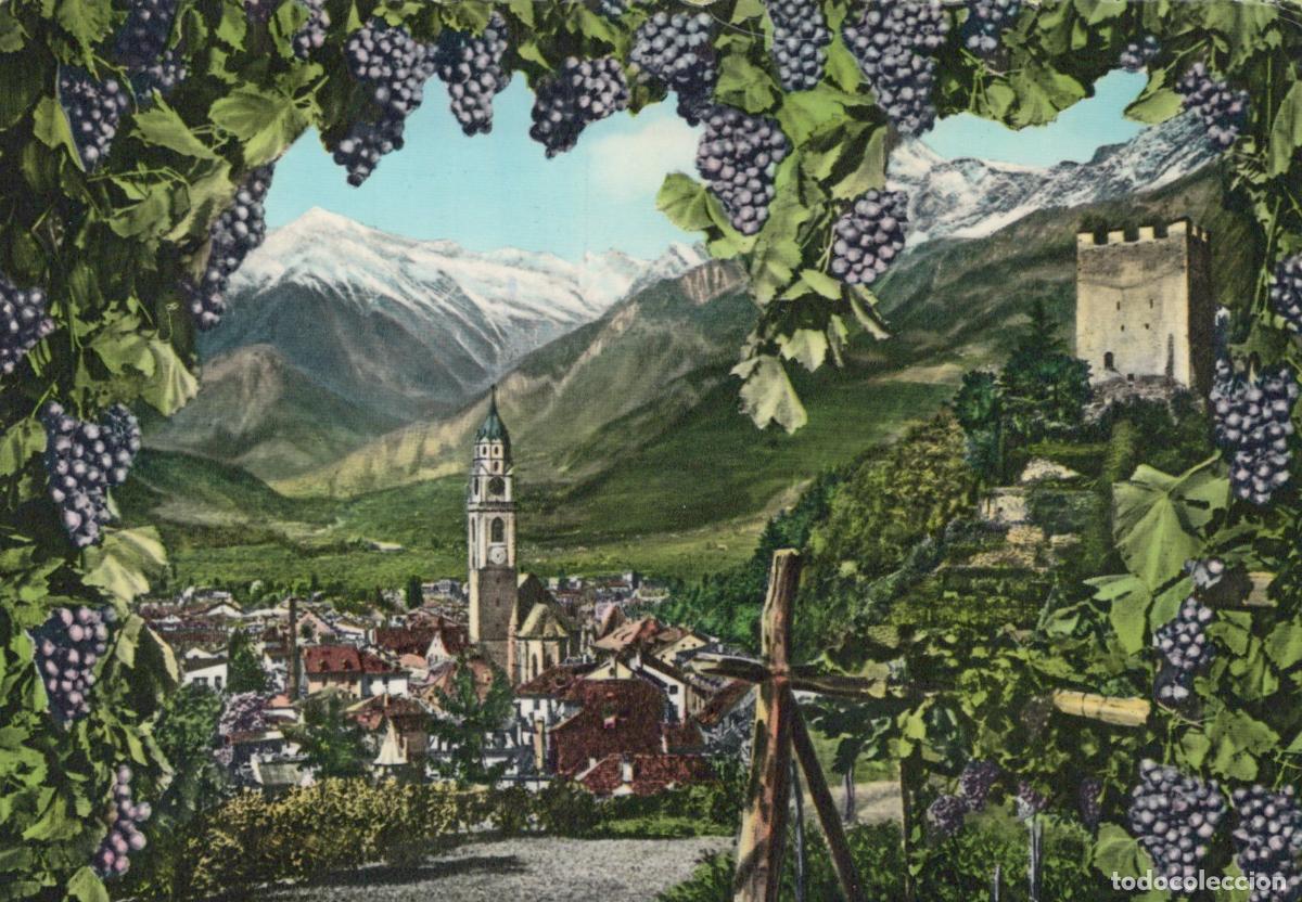 Cartoline: Italy Merano Landscape Montano Con Vigneti Castello Posted *YAK436