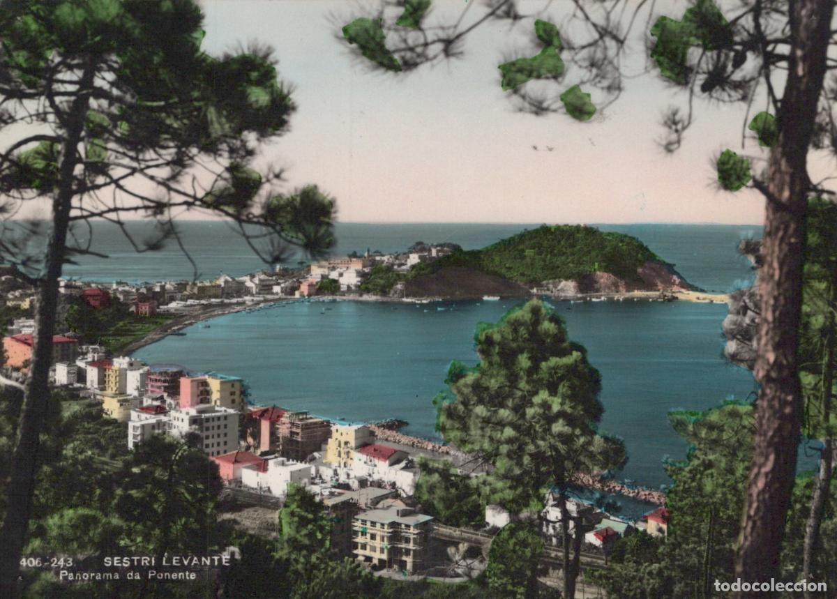 Cartes Postales: Italy Sestri Levante Panorama Da Ponente Landscape Real Photo *YAK451