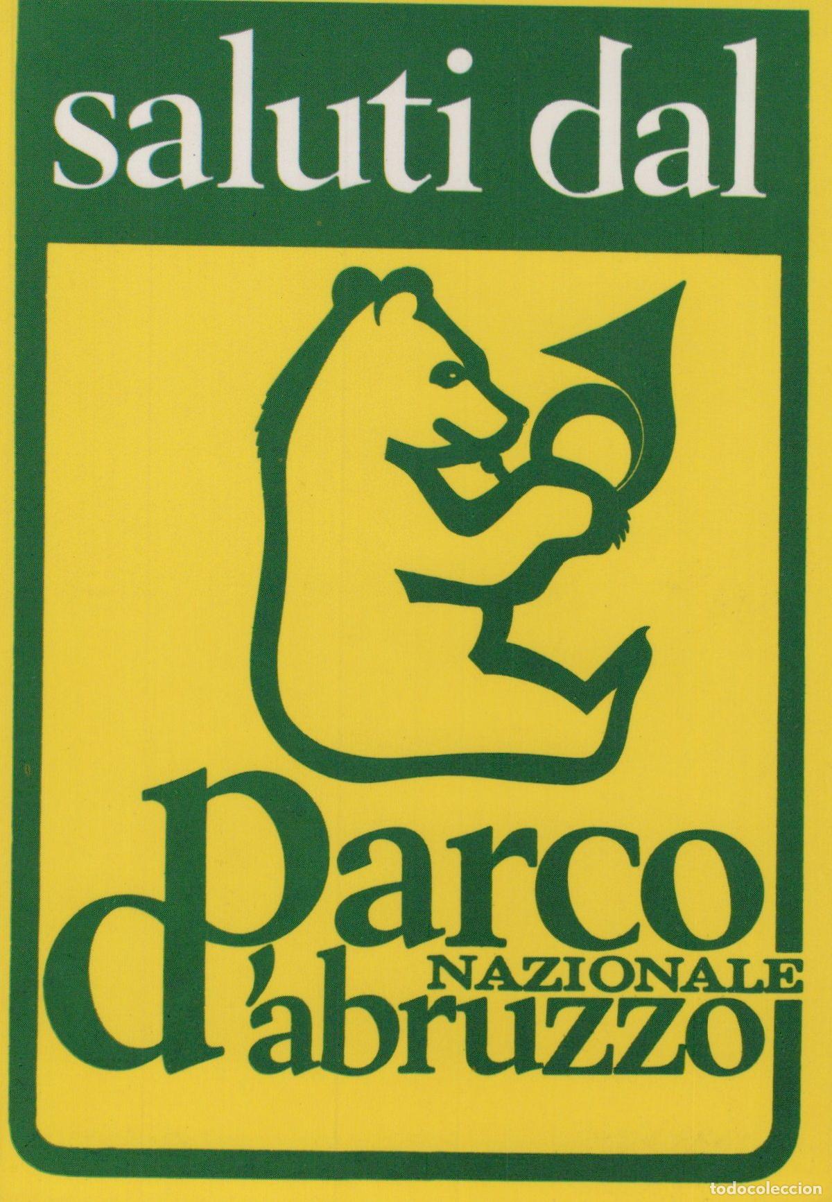 Cartes Postales: Italy Abruzzo National Park Bear Postcard *YAK506