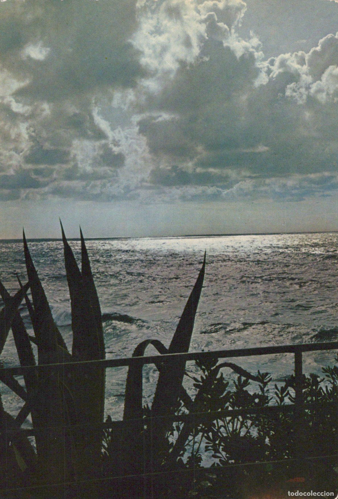 Postais: Italy Rapallo Controluce Sul Tigullio Mare Landscape Posted *YAK548