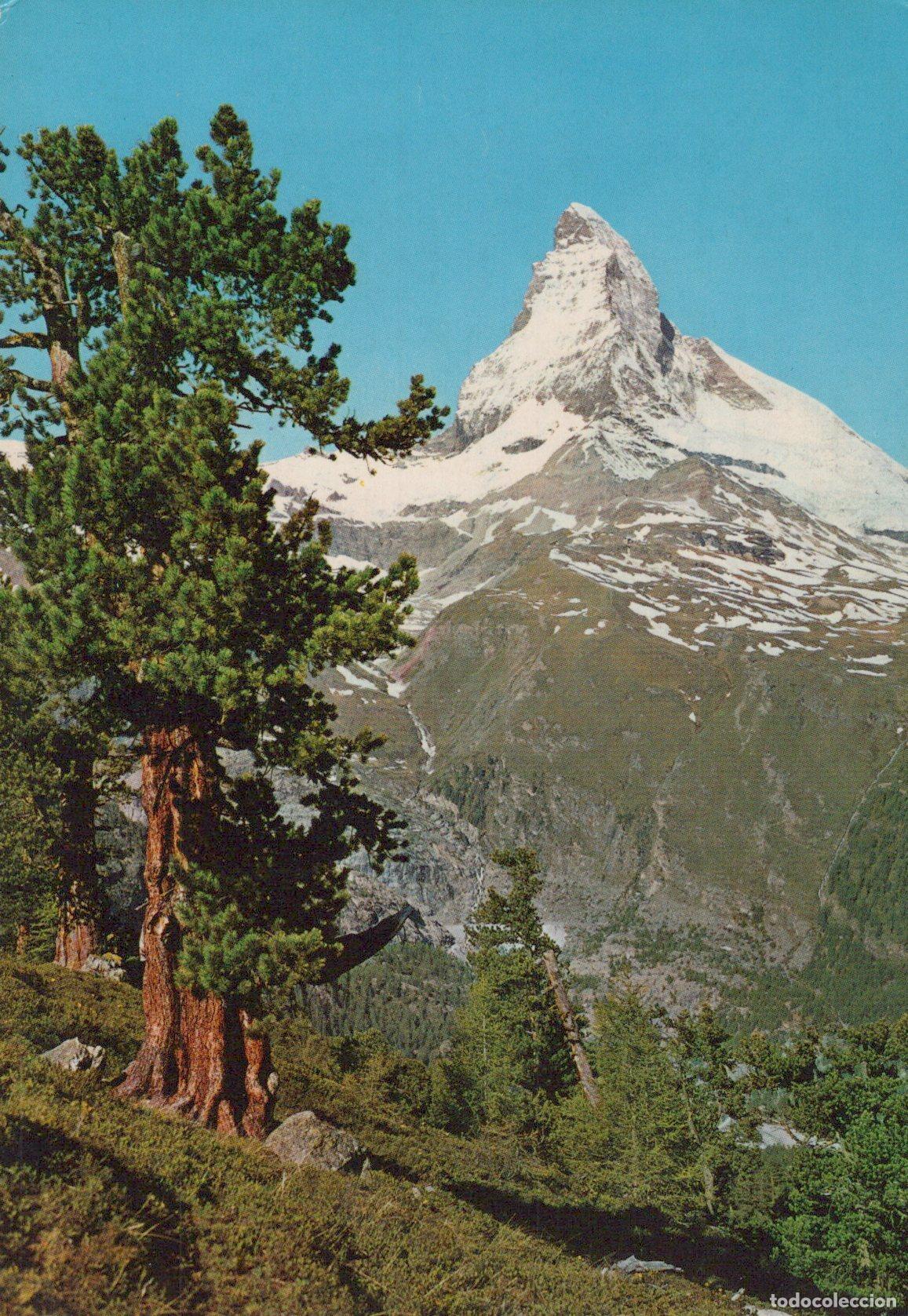 Postais: Switzerland Zermatt Wallis Matterhorn Mont Cervin Landscape Posted *YAK582