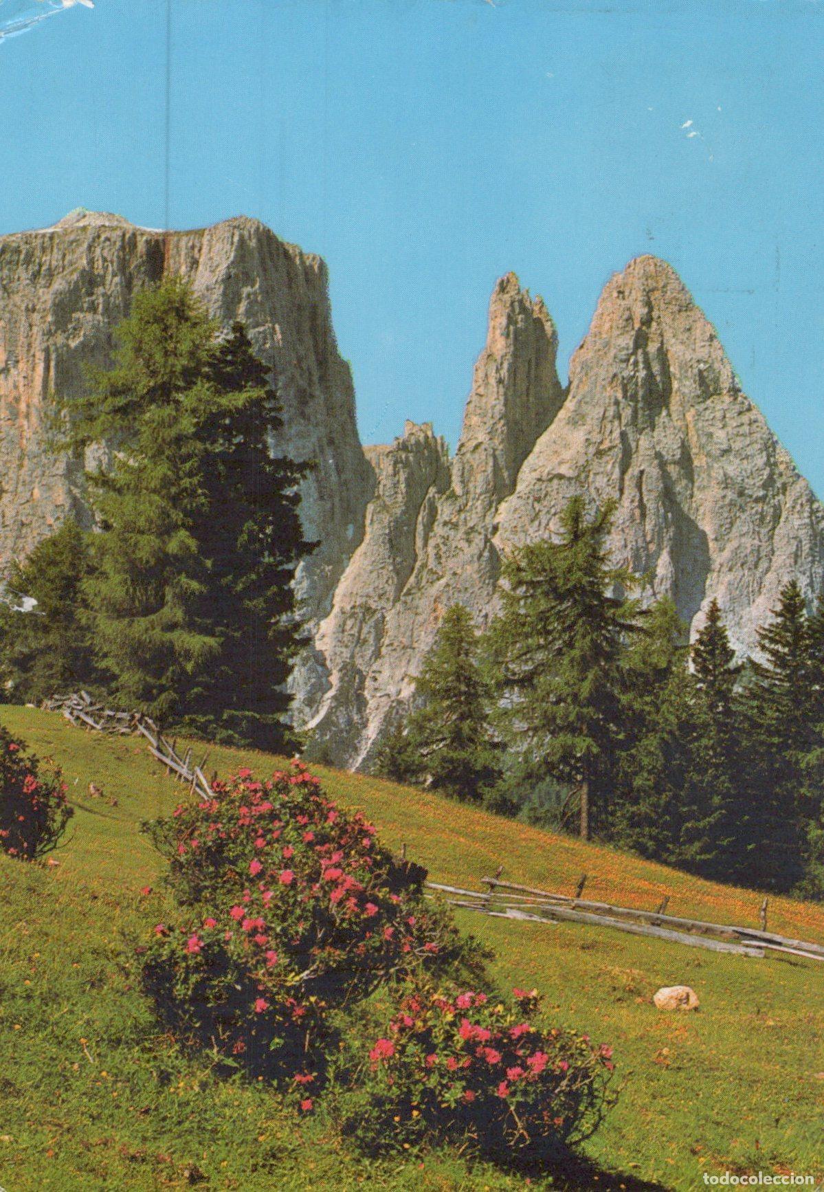 Cartoline: Italy Alpe Siusi Dolomiti Landscape Posted *YAK616
