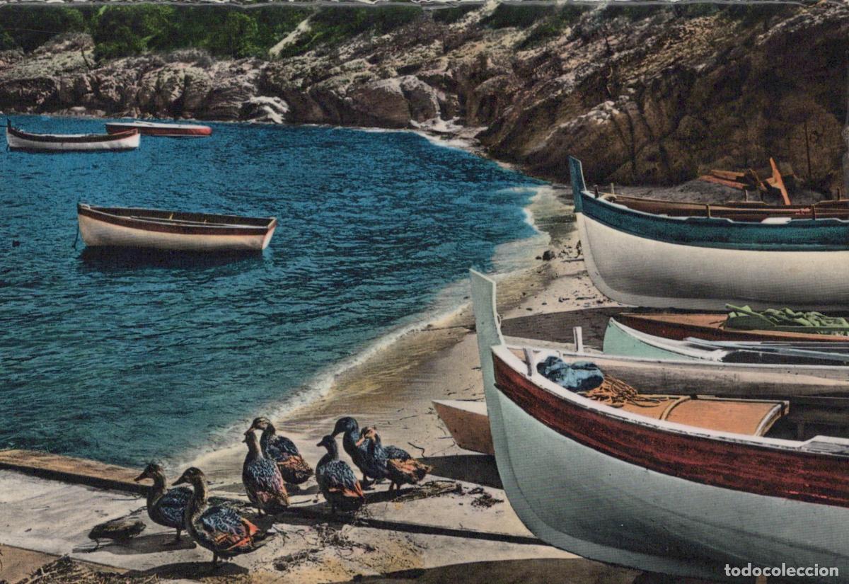 Cartoline: Italy Baia Dei Saraceni Landscape Barche Anatre Posted Unposted *YAK409