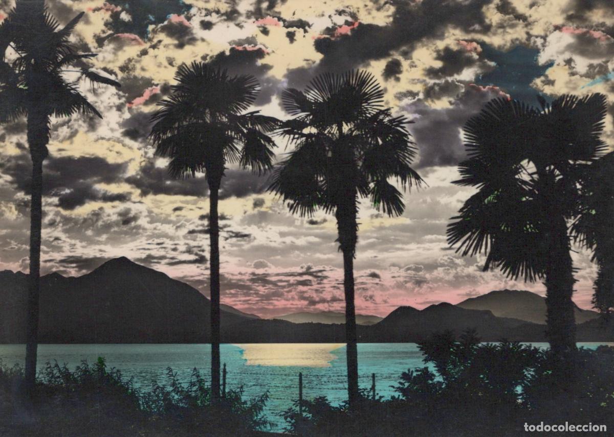 Cartoline: Italy Lago Maggiore Landscape Tramonto Palme Posted Unposted *YAK405