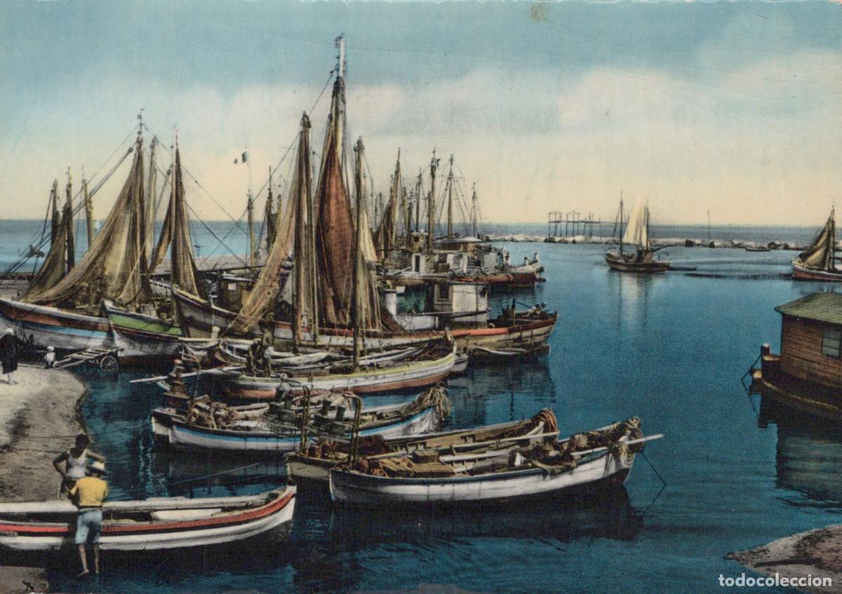 Cartoline: Italy Seaport Con Barche Vela Pescatori Landscape Marino Unposted *YAK410