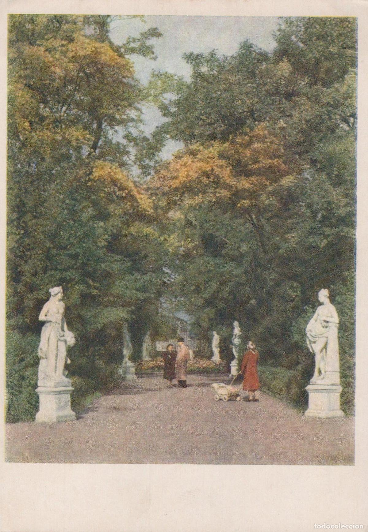 Cartoline: Russia Leningrad Summer Garden Alley Statues Landscape Unposted *YAK485