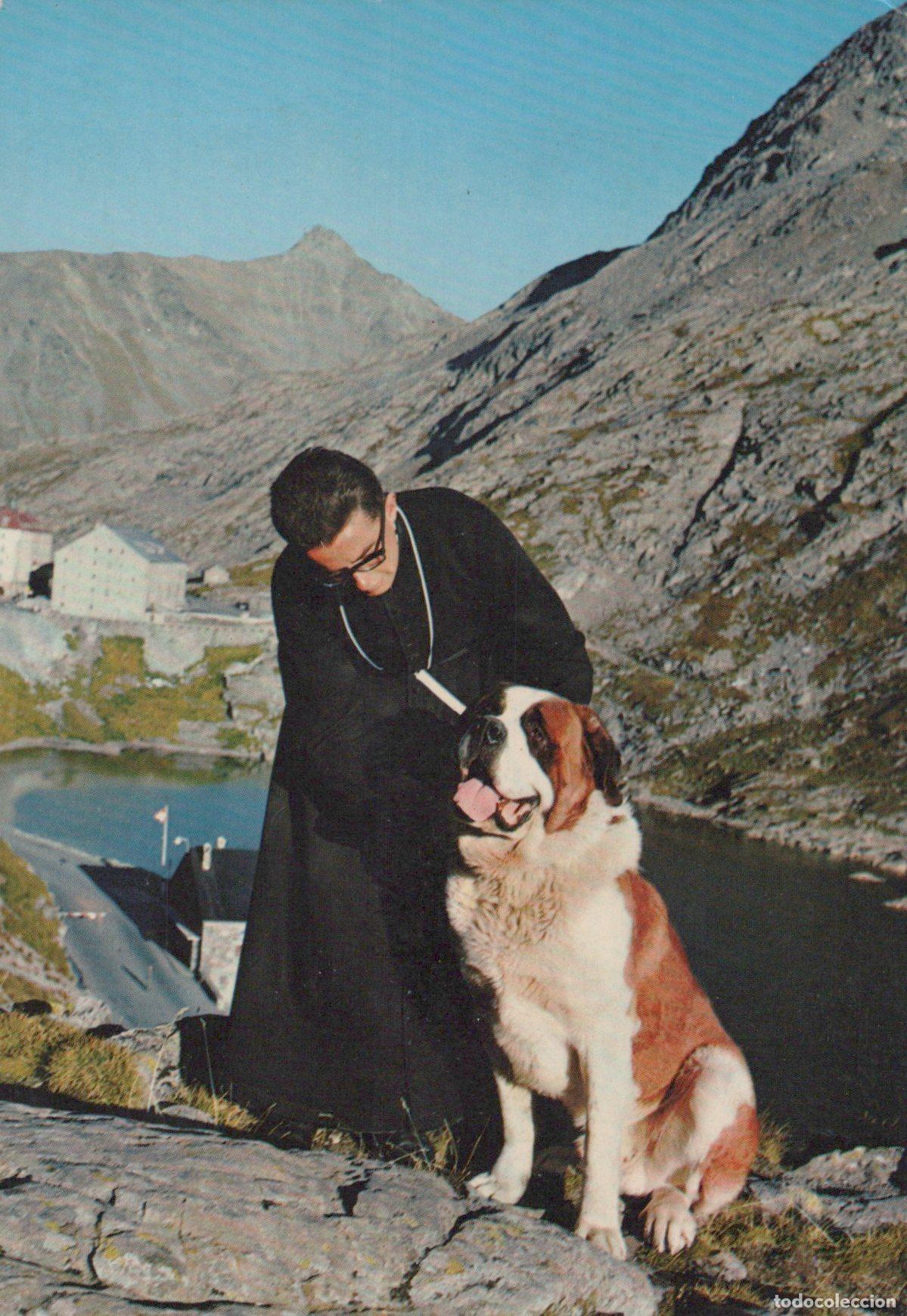 Postcards: Switzerland Grand Saint Bernard Monk with Dog *YAK782