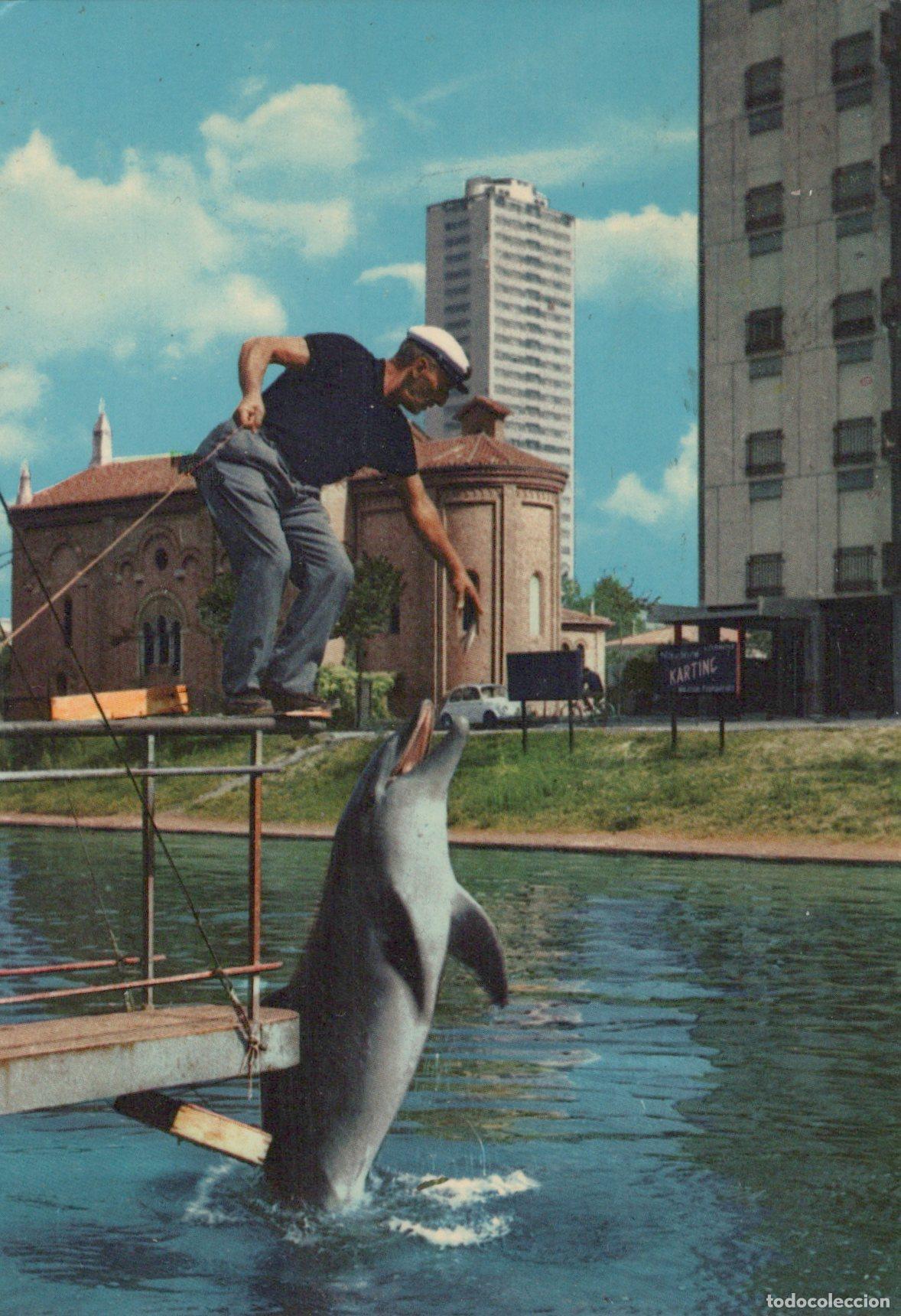 Postcards: Italy Cesenatico Aquarium Dolphin and Trainer *YAK574