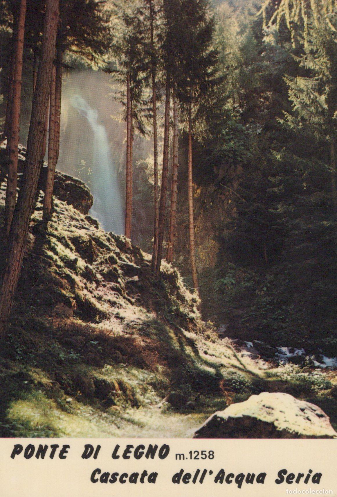 Postkarten: Italy Ponte Legno Waterfall Dell Acqua Seria Landscape Unposted *YAK852