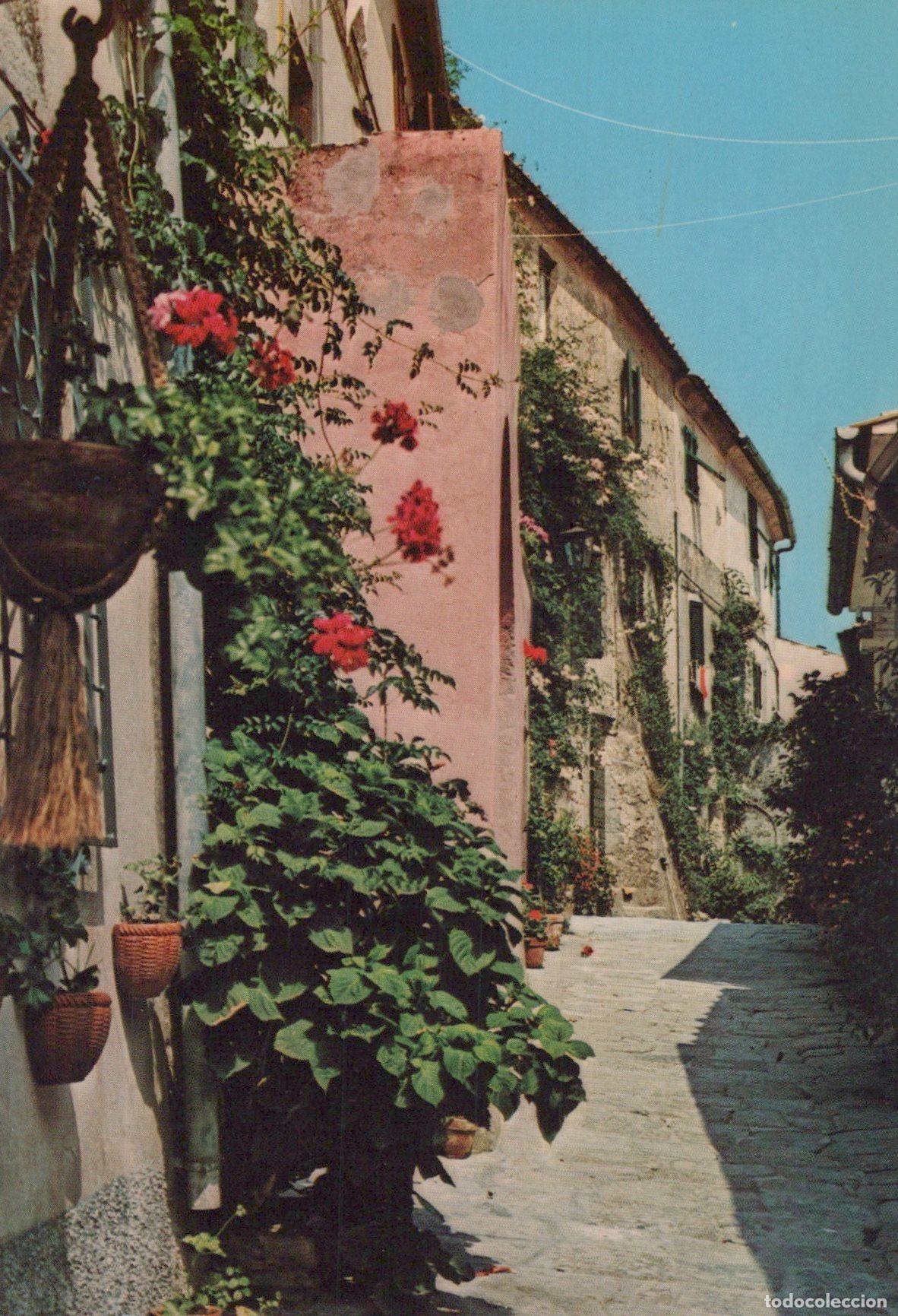 Postales: Italy Marciana Isola Elba Vicolo Caratteristico Architecture Unposted *YAK913