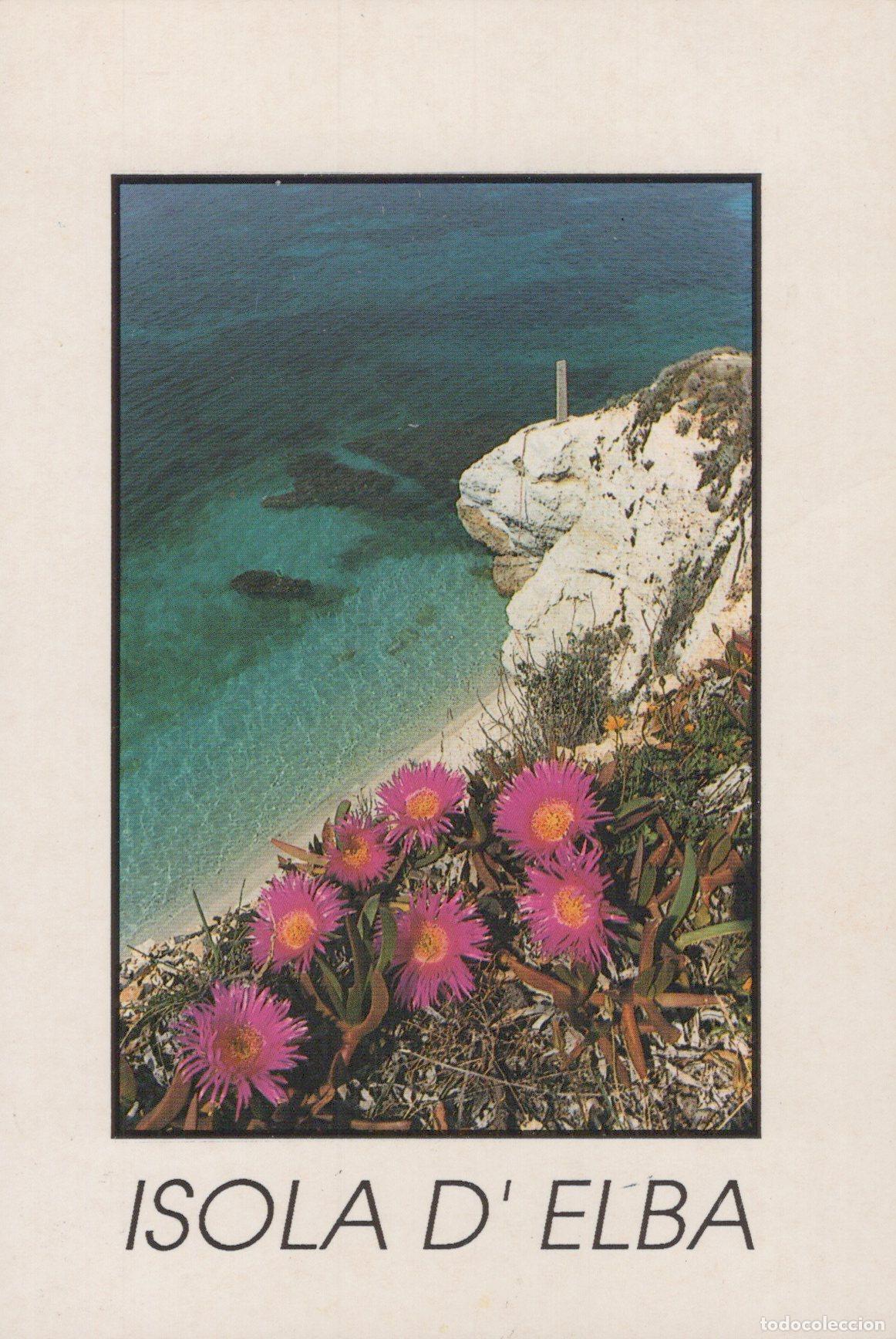 Cartoline: Italy Isola Elba Costa Rocciosa Fiori Mare Posted *YAK932