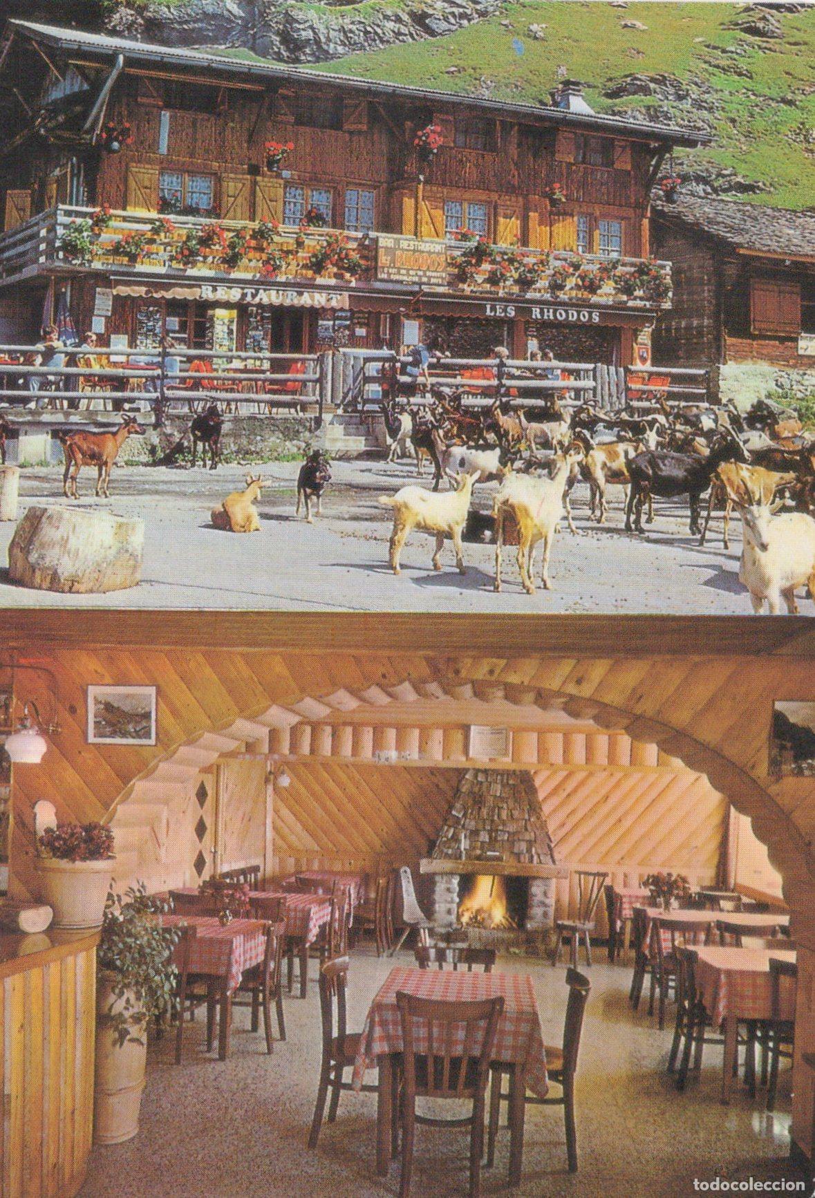 Postales: France Tignes Les Rhodos Hotel Goats Interior *YAK993
