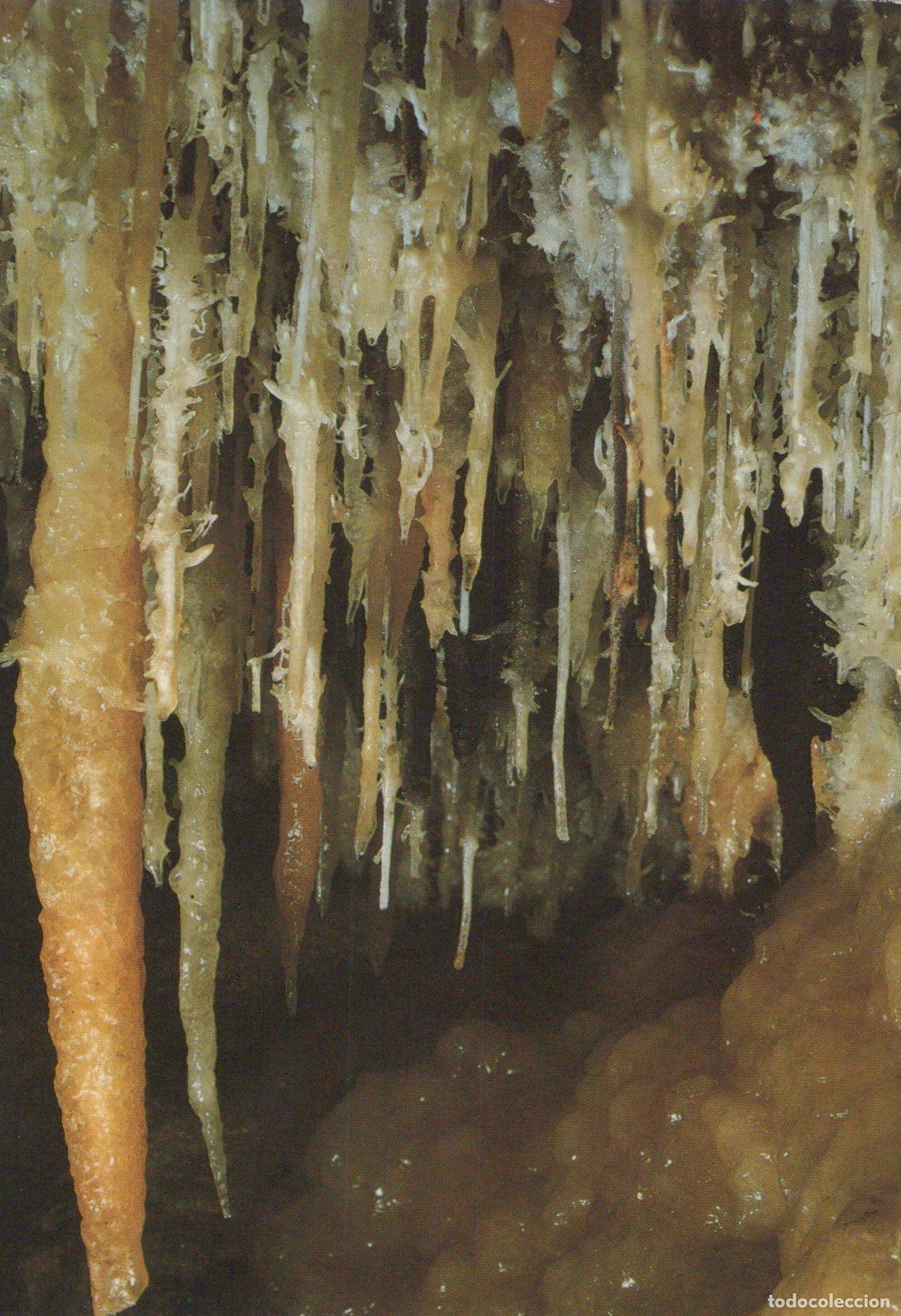 Postkarten: Italy Castellana Grotte Stalagmiti Eccentriche Grotte Unposted *YAK759