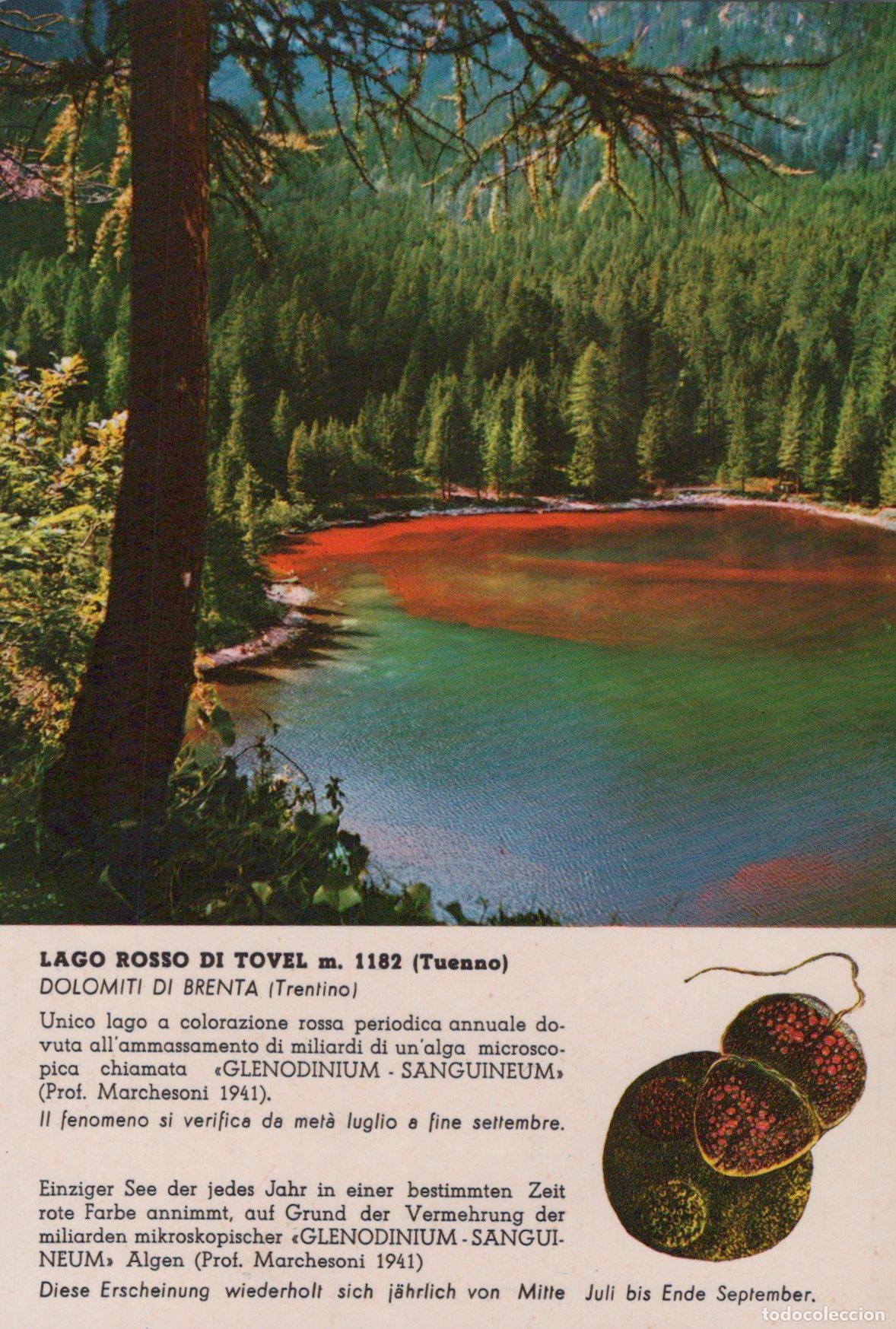 Postkarten: Italy Tueanno Lago Rosso Tovel Landscape Posted Unposted *YAK869
