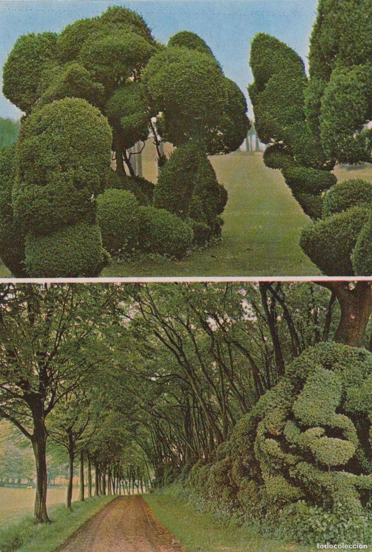 Postkarten: Italy Valeggio Sul Mincio Parco Giardino Sigurta Sculture Unposted *YAK894