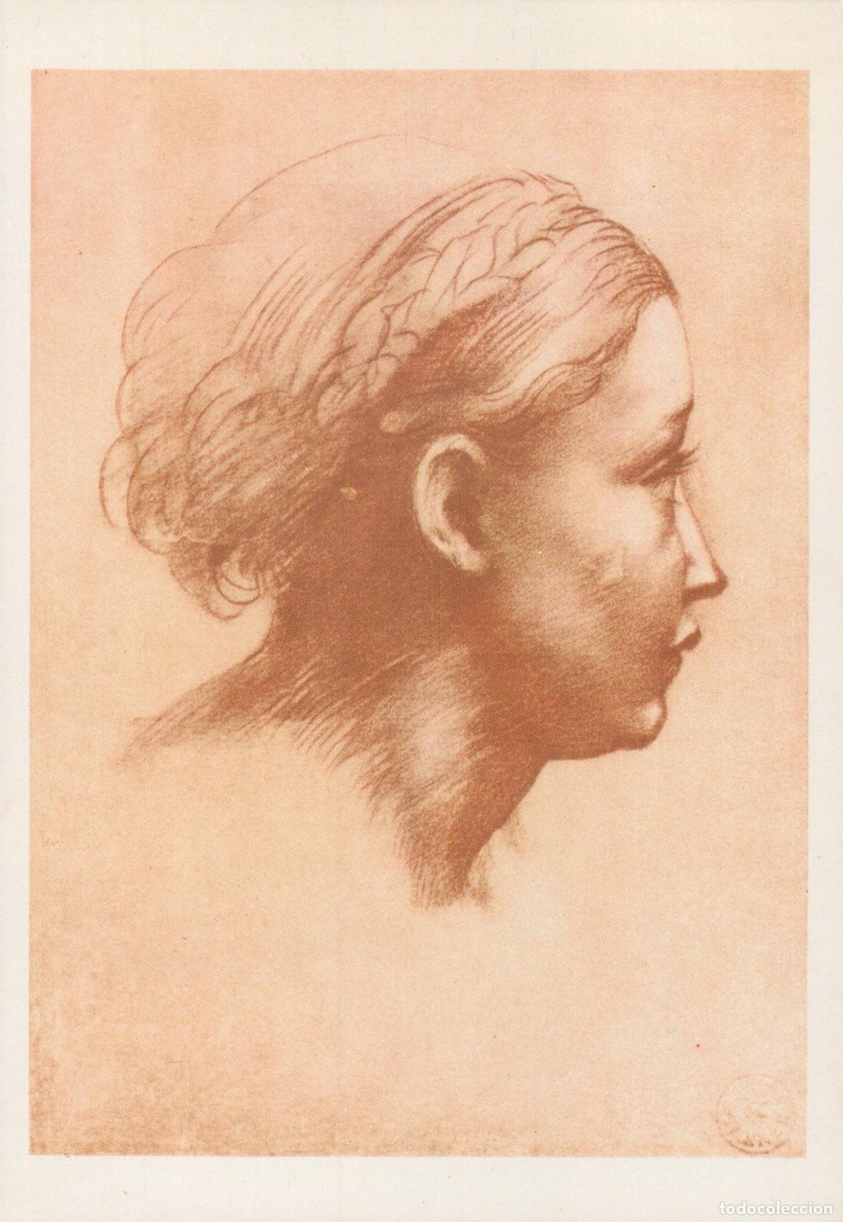 Postales: Italy Florence Scuola Raffaello Testa Donna *YAK934
