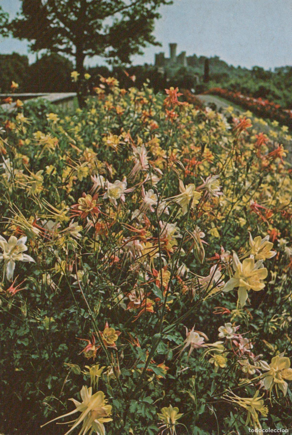 Postcards: Italy Valeggio Sul Mincio Verona Parco Giardino Sigurta Flowers Unposted *YAM031
