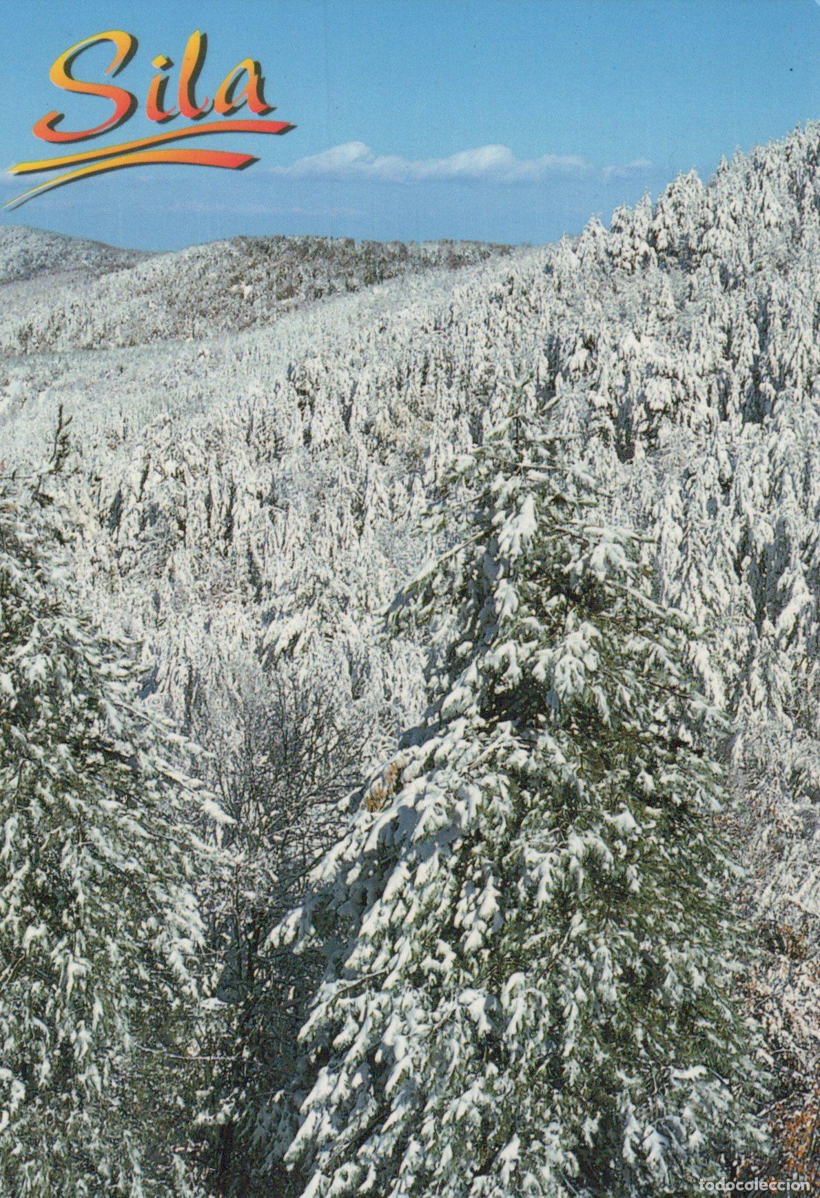 Postales: Italy Sila Mountains Winter Snow Covered Forest Landscape Unposted *YAM041