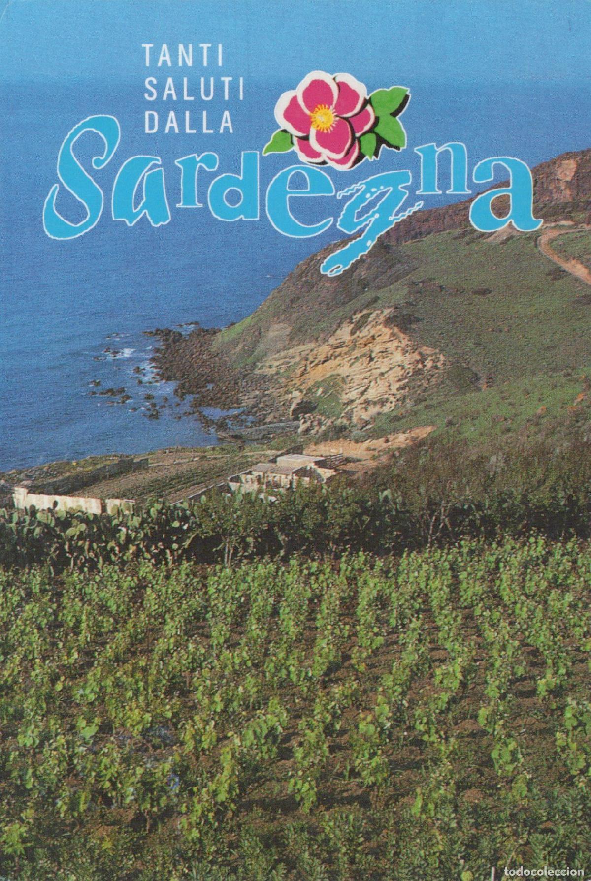 Postales: Italy Cagliari Sardinia Coastal Landscape With Vineyard and Sea View *YAM117