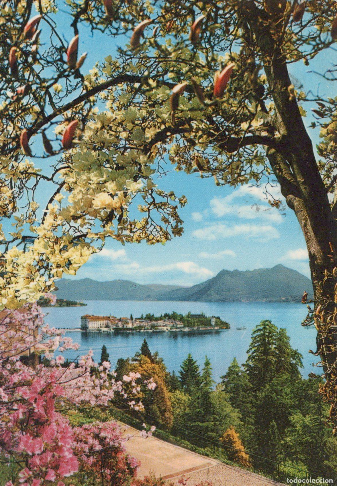 Cartoline: Italy Stresa Isola Bella Lake Maggiore Spring Landscape With Flowering *YAM132