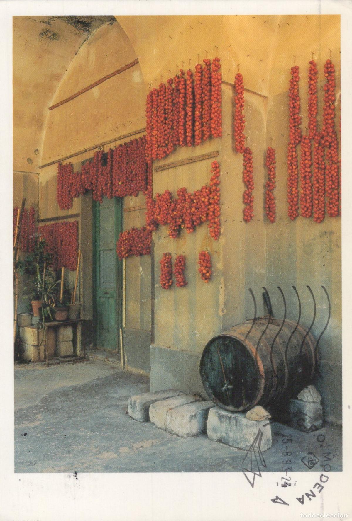 Cartoline: Italy Casarano Village Tomatoes Drying Barrel Rural Scene *YAM142
