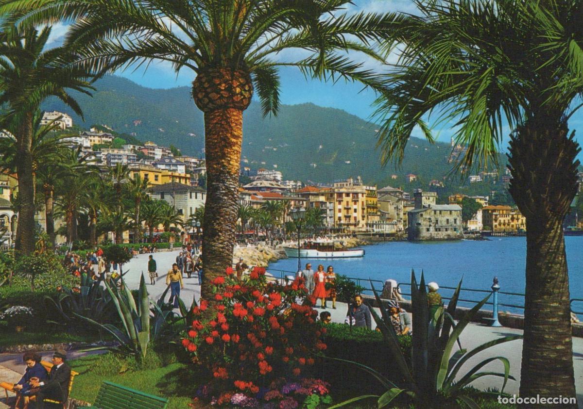 Cartes Postales: Italy Rapallo Sea Promenade With Palm Trees and Coastal Buildings *YAM218