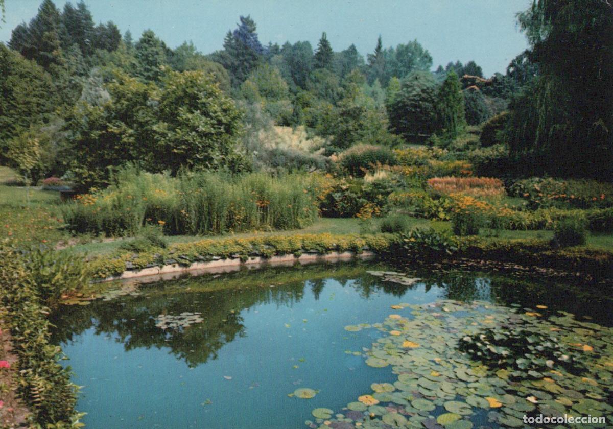 Cartes Postales: Italy Verbania Pallanza Lago Maggiore Giardino Palustre Pond Unposted *YAM326