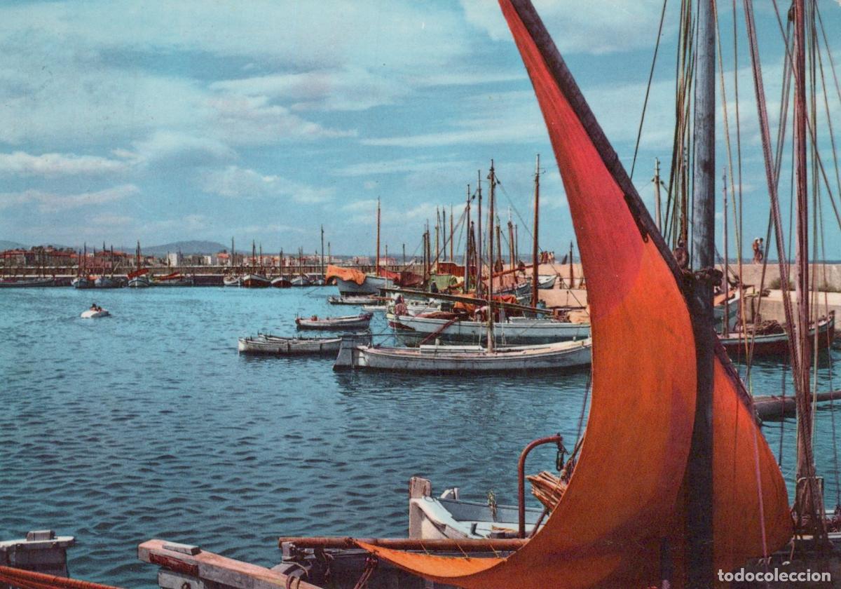 Postales: Italy Rimini Adriatic Riviera Fishing Boats Harbor Scene *YAM251