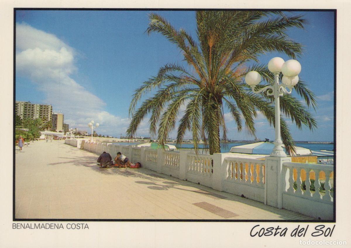 Postales: Spain Benalmadena Costa del Sol Promenade Palm Tree Beach Resort *YAM414