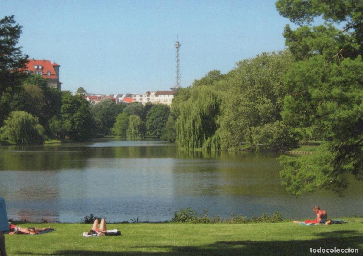 Postcards: Germany Berlin Tiergarten Park Lake With Radio Tower Sunbathers Unposted *YAM286