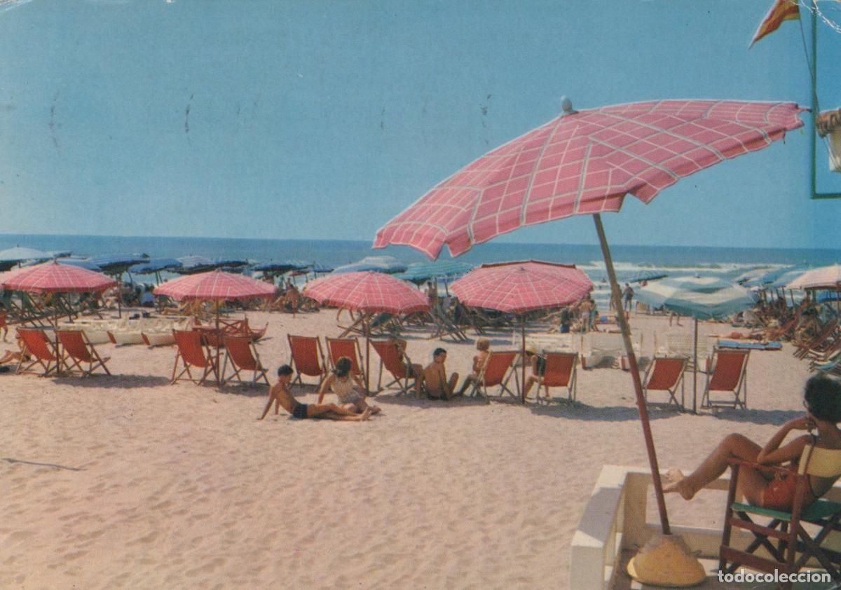 Postcards: Italy Marina DI Pietrasanta Beach Scene Pink Umbrellas Sunbathers *YAM292