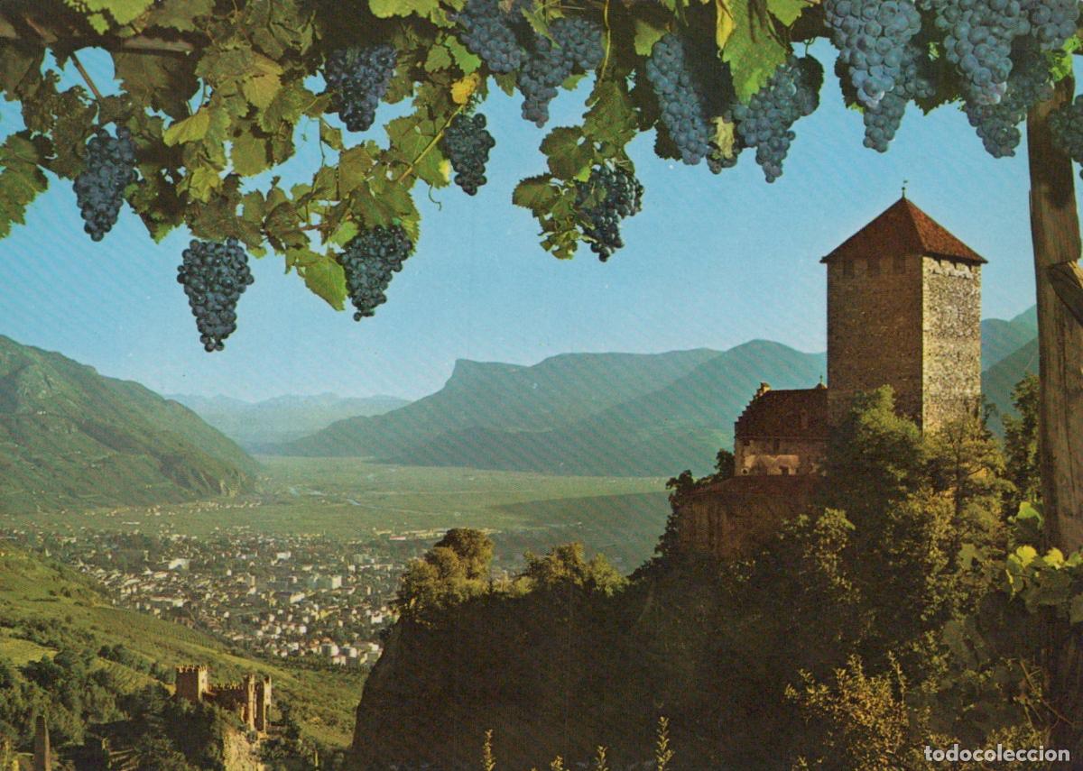 Postales: Italy Merano Tirol Castle Etschtal Valley South Tyrol Grapes Unposted *YAM476