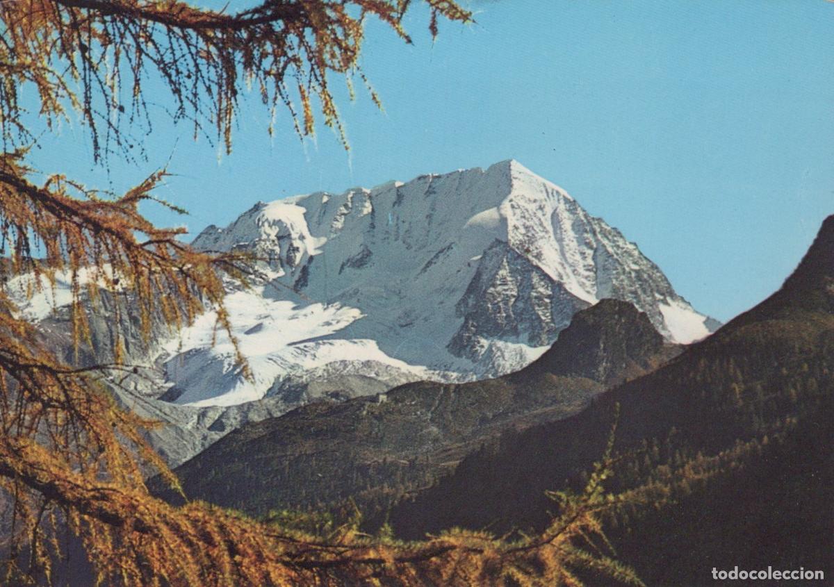 Postcards: Italy Riva DI Tures Col Alto Mountain Landscape With Larch Trees *YAM534