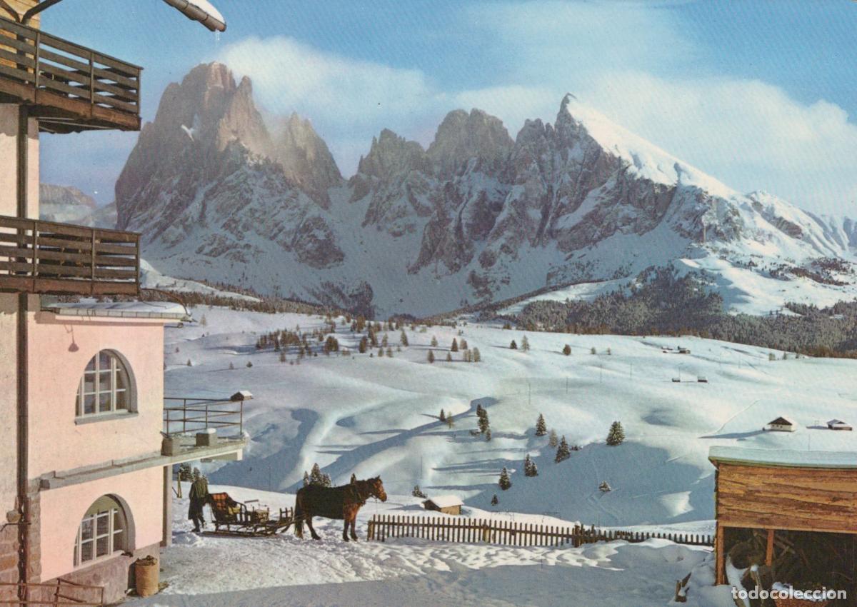 Postcards: Italy Alpe DI Siusi Dolomites Winter Landscape Horse Sleigh Mountains *YAM438