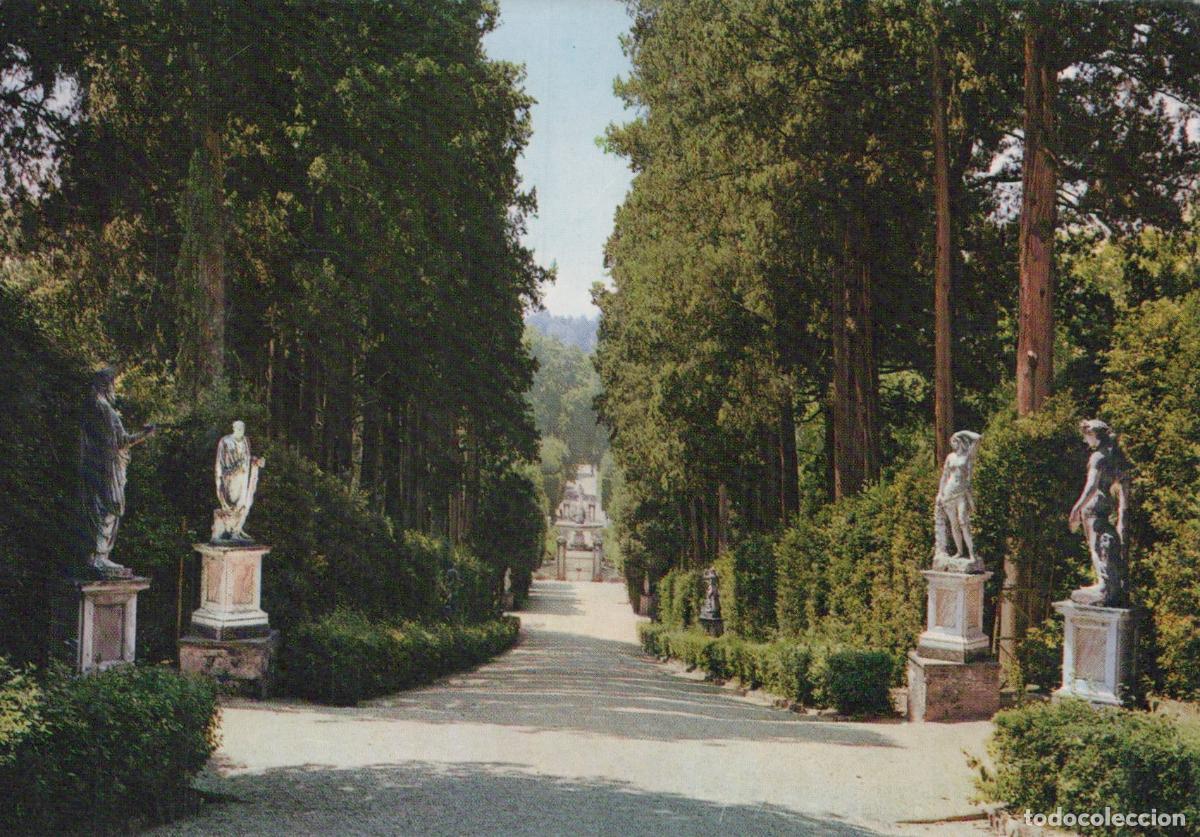 Postcards: Italy Florence Boboli Gardens Cypress Avenue Statues Italian Unposted *YAM756