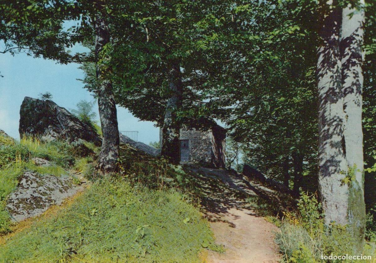 Cartoline: Italy Arezzo La Verna Sanctuary Mountain Path To Small Stone Unposted *YAM792