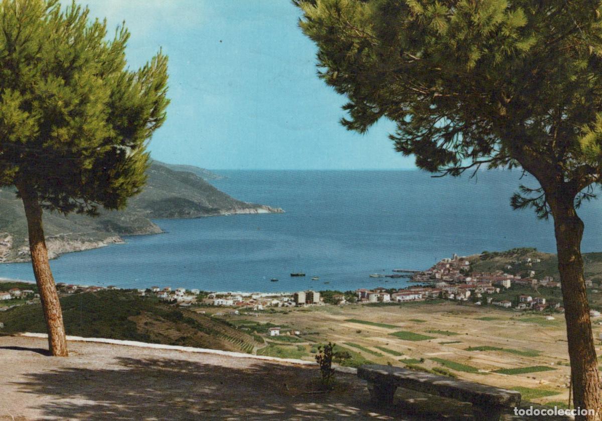 Cartoline: Italy Marina DI Campo Isola D Elba Panoramic View With Pine Trees and *YAM826